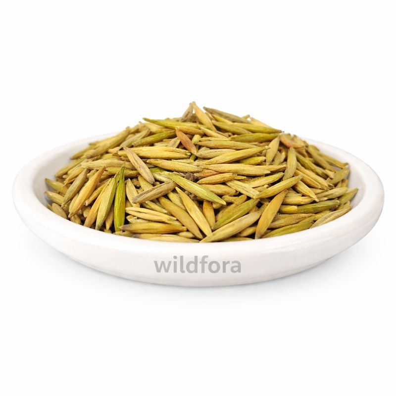 Indrajav Meetha Whole Holarrhena Pubescens Natural Sweet Indrajau Seeds