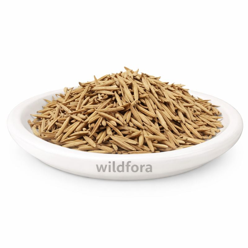 Indrajav Powder Kadwa Holarrhena Pubescens | Indrajau Seed Kadwa Powder