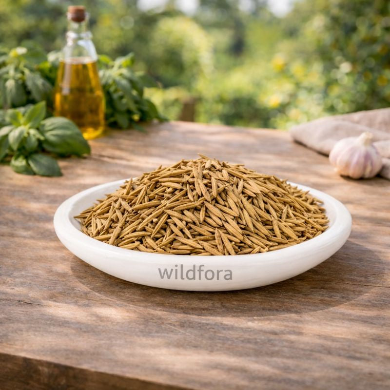 Indrajav Powder Kadwa Holarrhena Pubescens | Indrajau Seed Kadwa Powder