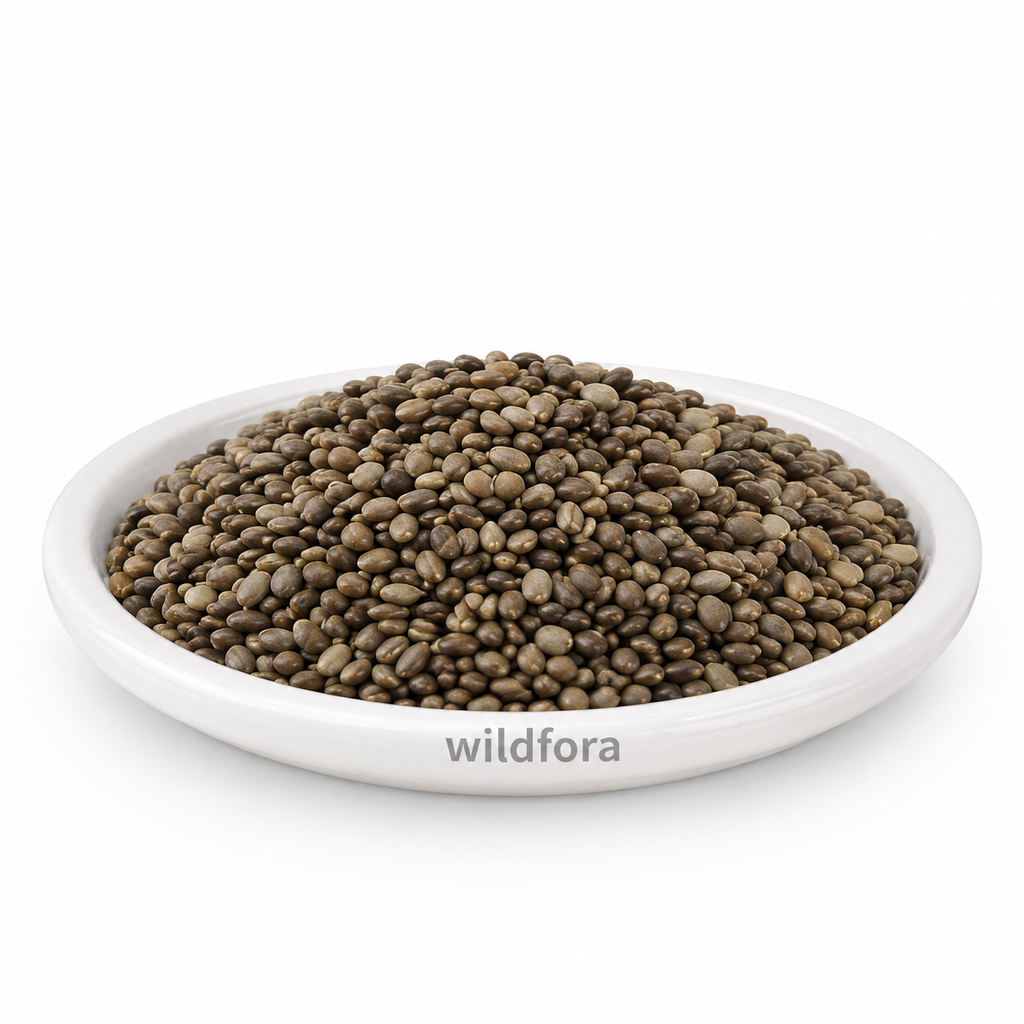 Indrayan Seeds Whole (Citrullus colocynthis) - Premium Natural Tumba Beej | Botanical Raw Material