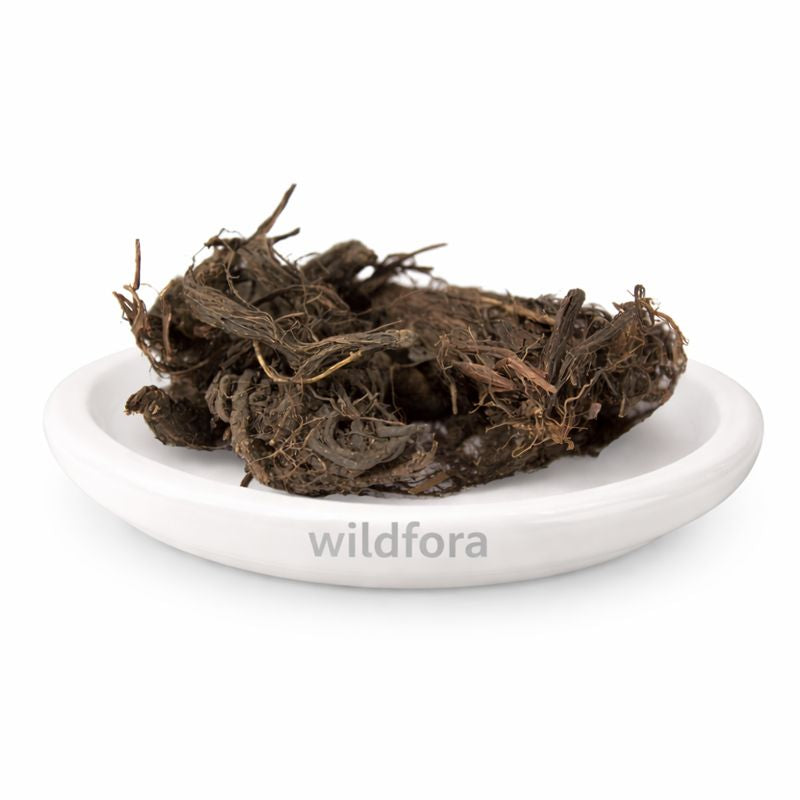 Jatamansi Whole Nardostachys Jatamansi Natural Indian Spikenard Root