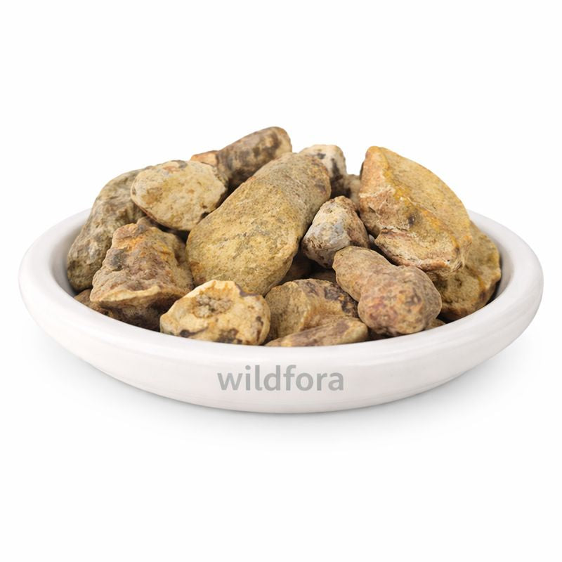 Kalihari Mool Whole Gloriosa Superba Natural Langali Root