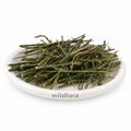Kalmegh Whole Andrographis Paniculata Natural Herbal Plant