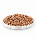 Kamal Seed Whole (Nelumbo nucifera) - Premium Natural Lotus Seeds | Food Grade Botanical Ingredient