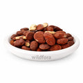 Karanj Seed Whole (Pongamia pinnata) - Premium Natural Karanja Seeds | Botanical Raw Material