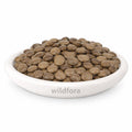 Kasondi Seeds Whole (Cassia occidentalis) - Premium Natural Kasondi Seeds | Botanical Raw Material