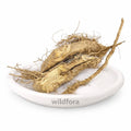 Kateri Root Powder (Solanum xanthocarpum) - Premium Kantakari Root Powder | Botanical Raw Material
