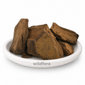 Kattha Powder (Acacia catechu) - Premium Catechu Wood Powder | Botanical Raw Material