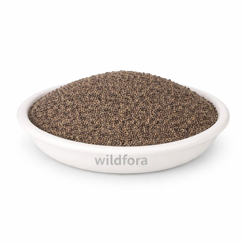 Khurasani Ajwain Hyoscyamus Niger Whole Natural Herbal Seeds