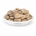 Kuchla Seeds Whole (Strychnos nux-vomica) - Premium Natural Nux Vomica Seeds | Botanical Raw Material