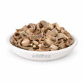 Kutaj Powder (Holarrhena antidysenterica) - Premium Kuda Bark Powder | Botanical Raw Material