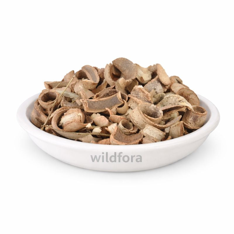 Kuda Chaal Holarrhena Antidysenterica Bark Whole Natural Kutaj Herbal Product