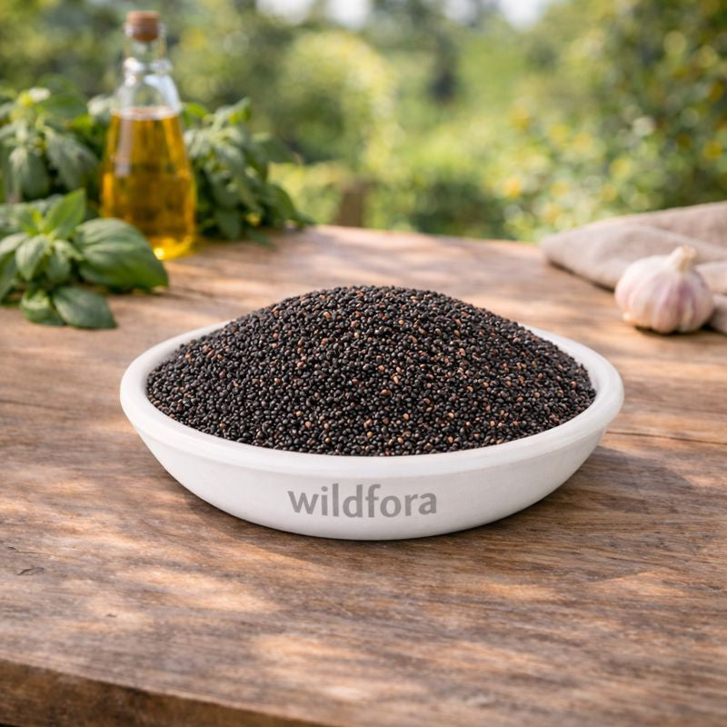Kurdu Seeds Celosia Argentea Whole Natural Cockscomb Seeds