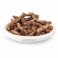 Kutki Powder (Picrorhiza kurroa) - Premium Katuki Root Powder | Botanical Raw Material