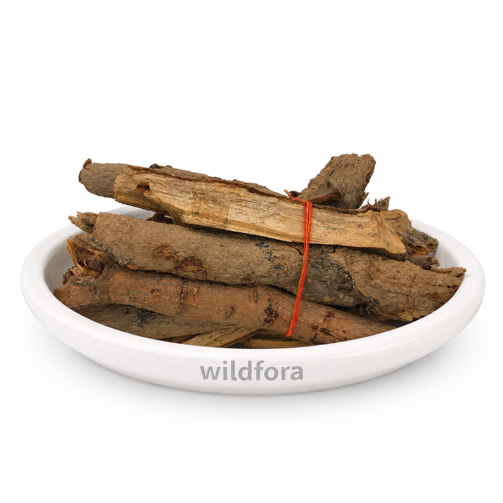Mango Tree Bark Wood (Mangifera indica) - Premium Natural Havan Wood | Botanical Raw Material