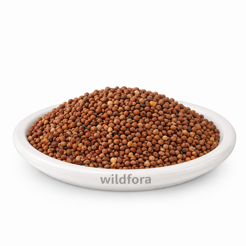 Mula Beej (Radish Seeds) (Raphanus sativus) - Premium Whole Radish Seeds | Food Grade Botanical Ingredient