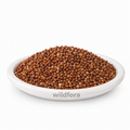 Mula Beej (Radish Seeds) (Raphanus sativus) - Premium Whole Radish Seeds | Food Grade Botanical Ingredient