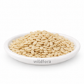 Muskmelon Seeds Without Shell (Cucumis melo) - Premium Natural Kharbuja Beej Kernels | Food Grade Ingredient