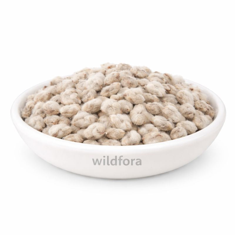 Pamba Dana Cotton Seeds Whole (Gossypium Herbaceum)