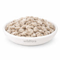 Pamba Dana (Gossypium herbaceum) - Premium Natural Cotton Seeds Whole | Botanical Raw Material