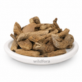 Vidhara Lakdi Powder (Argyreia nervosa) - Premium Natural Elephant Creeper Herbal Powder