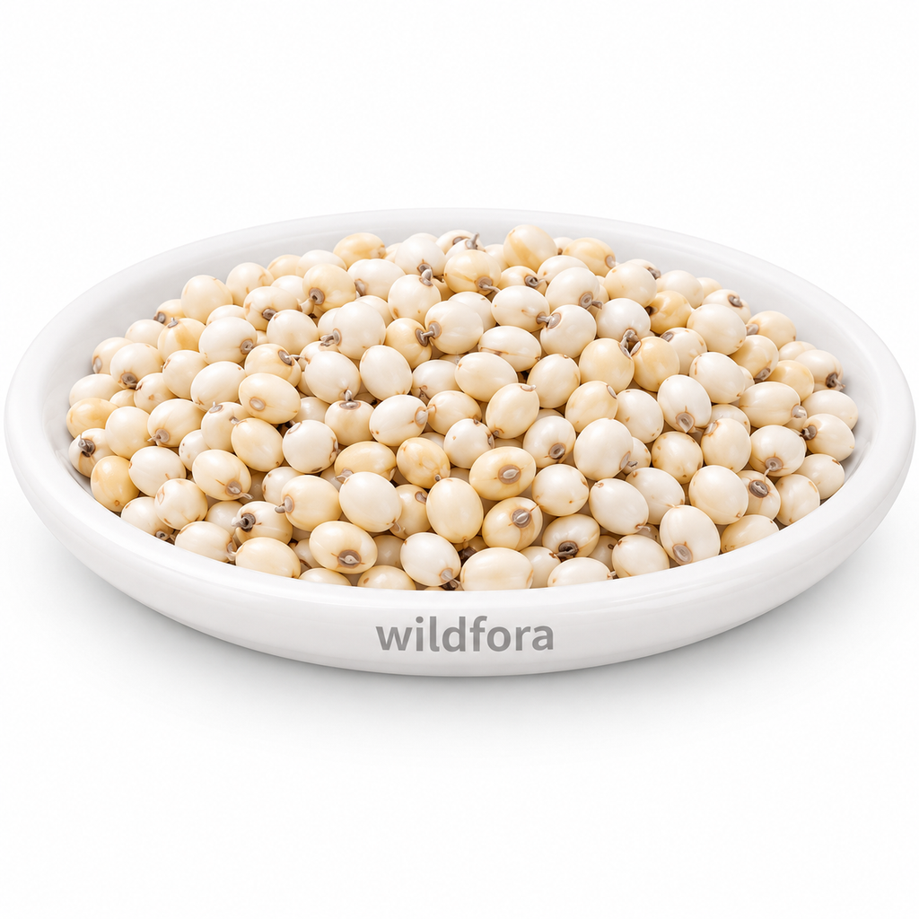White Gunja (Safed Chirmi) - Premium Natural Whole Abrus precatorius Botanical Seeds