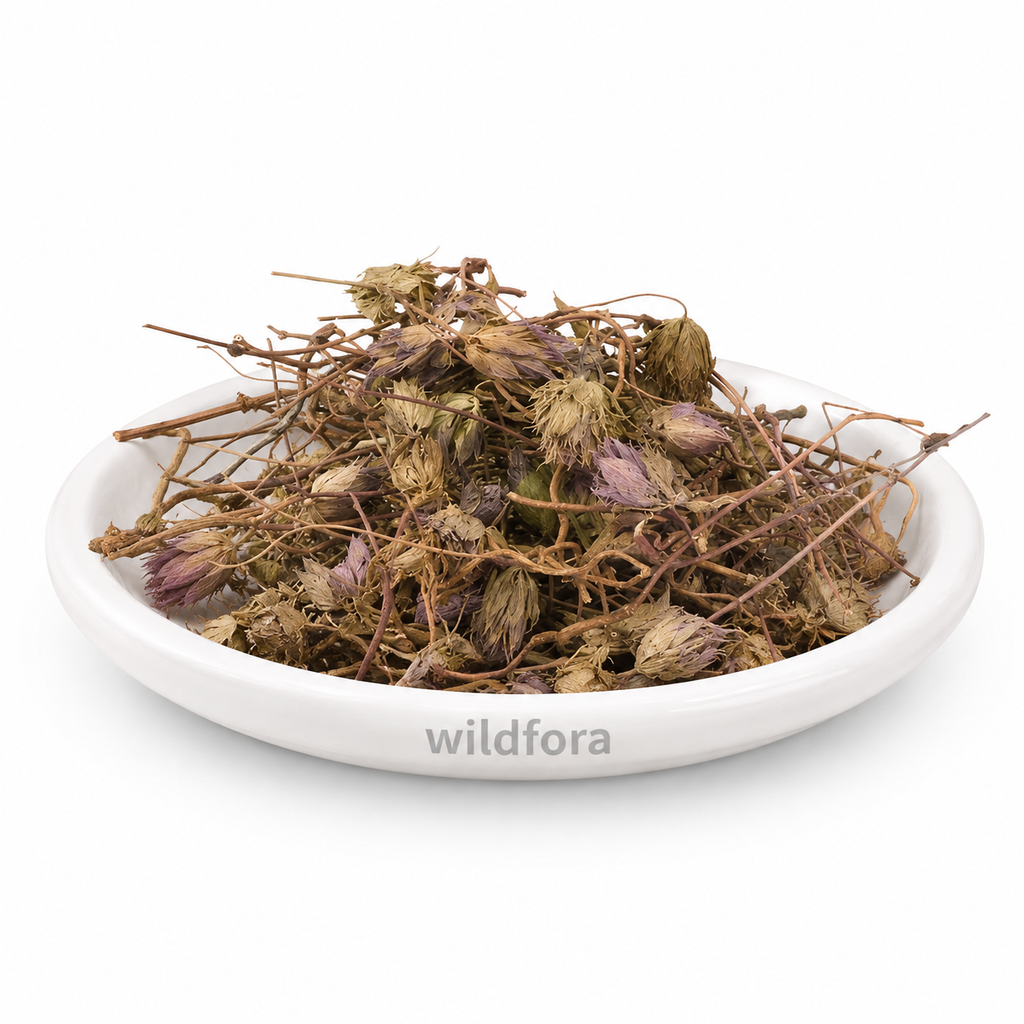 Zufa (Hyssop) - Premium Natural Whole Hyssopus officinalis Herb | Botanical Ingredient