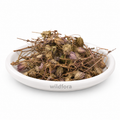 Zufa (Hyssop) - Premium Natural Whole Hyssopus officinalis Herb | Botanical Ingredient
