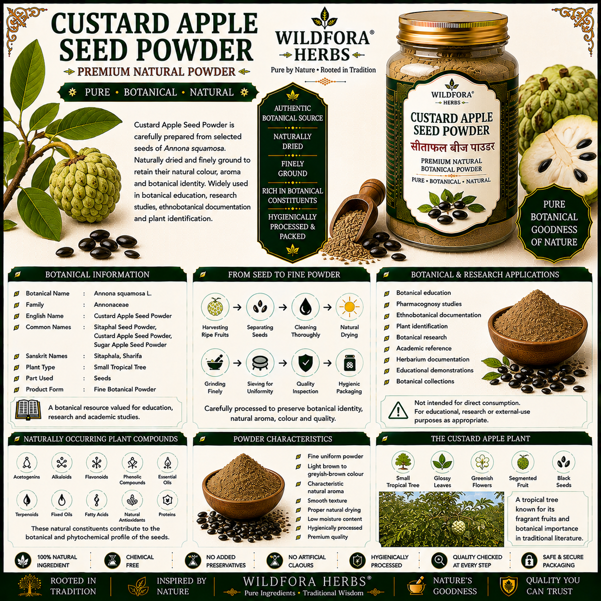 Custard Apple Seed Powder Annona Squamosa | Sitaphal Fruit Powder